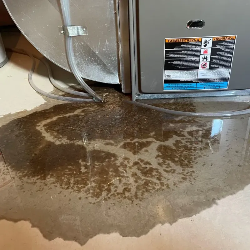 Pipe Burst and Leak Restoration in Joint Base Lewis McChord, WA
